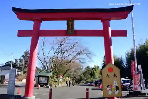 白笹稲荷神社の鳥居