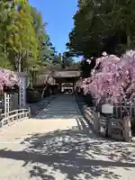 高野山金剛峯寺(和歌山県)