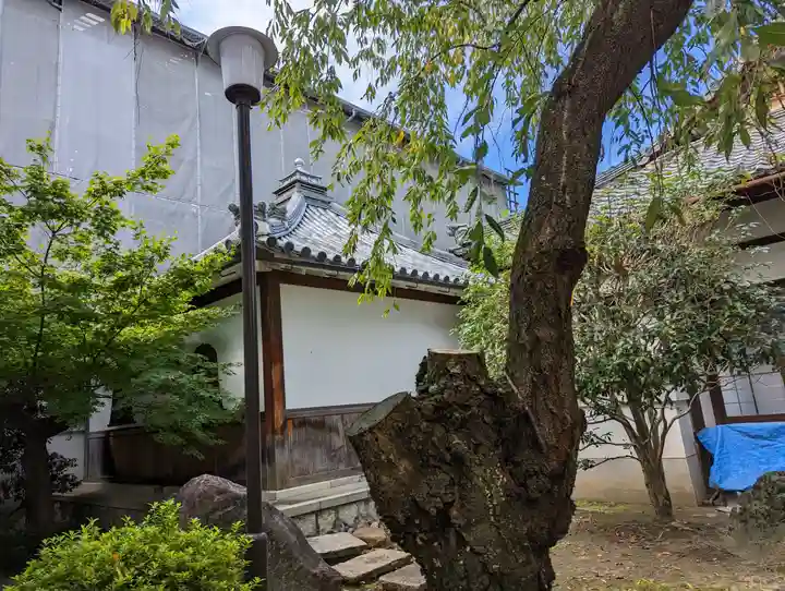 本隆寺(本妙興隆寺)(京都府)
