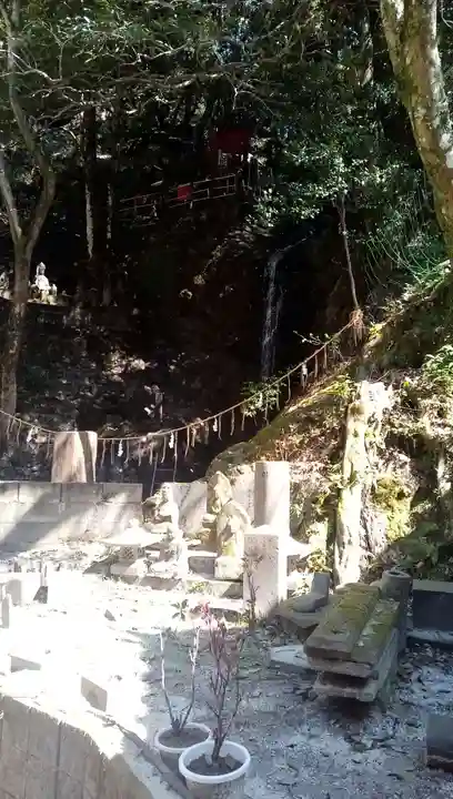 一ノ滝寺の自然