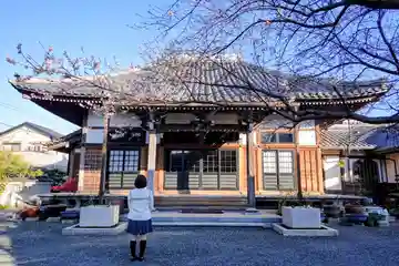 蓮成寺(川端蓮成寺)の本殿・本堂