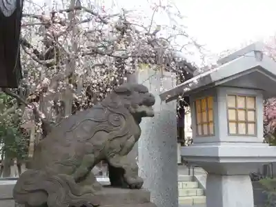 牛天神北野神社の狛犬