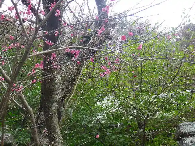 御霊神社の自然