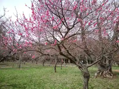 開拓神社の周辺