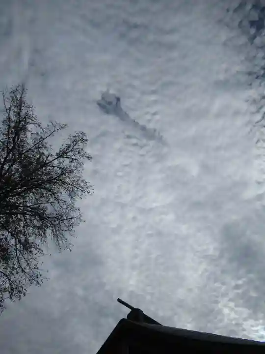 櫻木神社(千葉県)
