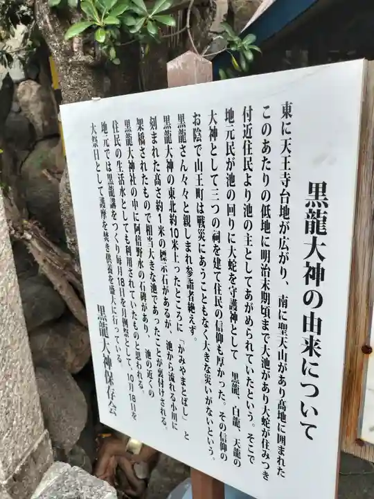 黒龍大神(大阪府)