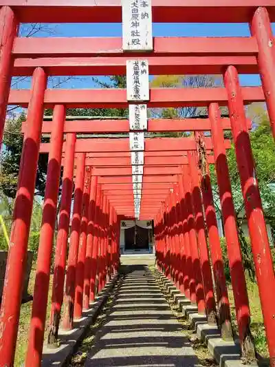 経塚稲荷神社の鳥居