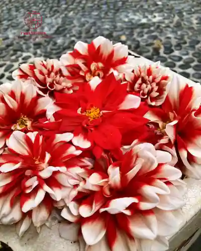 立志神社(滋賀県)