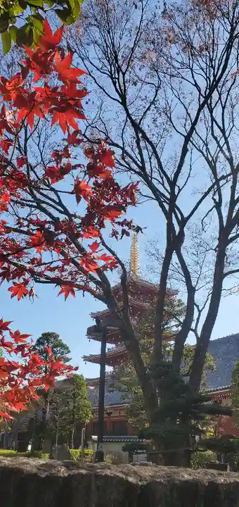 浅草寺のその他建物