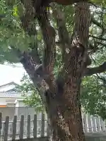 皇太神社(兵庫県)