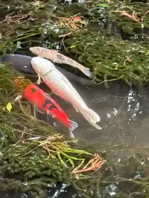 赤城神社(三夜沢町)(群馬県)