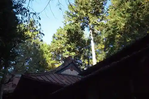 朝日稲荷神社のその他建物