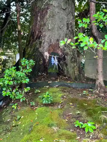 大宮神社(熊本県)