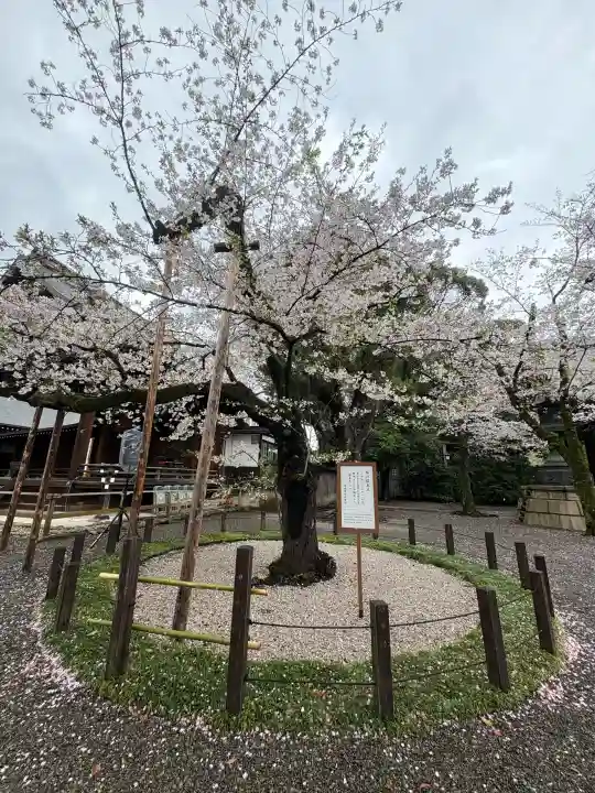 靖國神社の{uncategorized: "未分類", other: "その他", undefined: "問題あり", building: "その他建物", grave: "お墓", sacred_gate: "鳥居", guardian: "狛犬", statue: "像", buddha: "仏像", history: "歴史", nature: "自然", garden: "庭園", animal: "動物", pagoda: "塔", temizu: "手水舎", mountain_gate: "山門・神門", sanctuary: "本殿・本堂", subordinate: "末社・摂社", art: "芸術", scenery: "景色", jizo: "地蔵", ema: "絵馬", goshuin: "御朱印", omikuji: "おみくじ", items: "授与品その他", amulet: "お守り", goshuincho: "御朱印帳", eats: "食事", festival: "お祭り", votive_dance: "神楽", shichigosan: "七五三参", wedding: "結婚式", experience: "体験その他", initially: "初詣", around: "周辺", anti_infection: "感染症対策"}