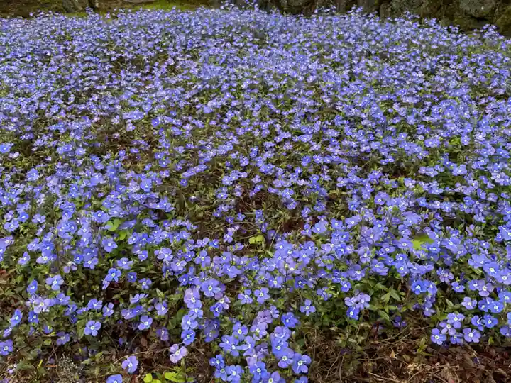 照光寺(長野県)