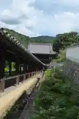 長谷寺の建物その他