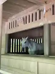 伊勢神宮外宮（豊受大神宮）の動物