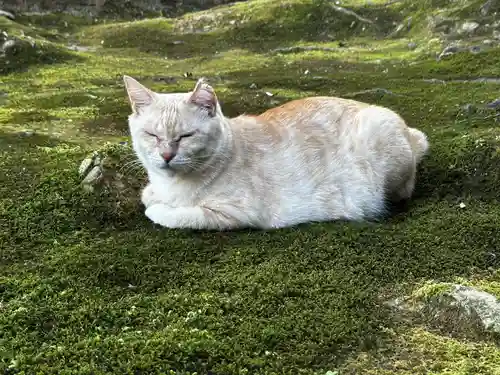 王子神社(徳島県)