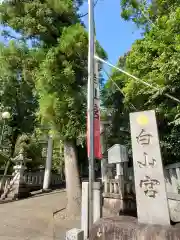 白山宮の建物その他