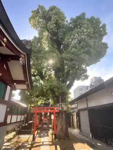 上の天神 生根神社(大阪府)
