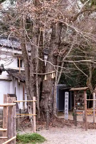 梨木神社(京都府)