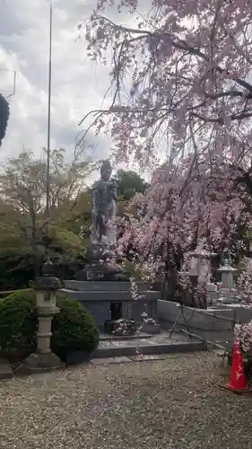 禪定院(東京都)