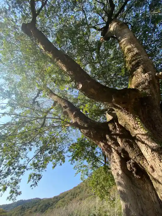 天石門別神社(岡山県)