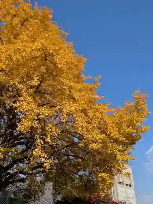 仙寿院(東京都)