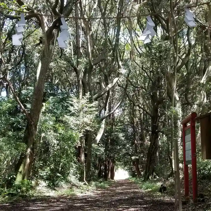沼尾神社の自然