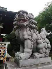 新倉氷川八幡神社の狛犬