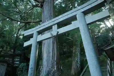 闘鶏神社の周辺