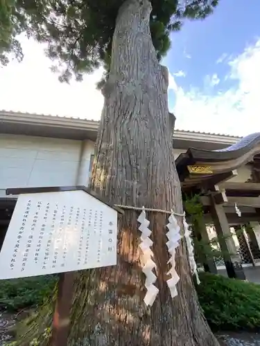 富士山東口本宮 冨士浅間神社(静岡県)