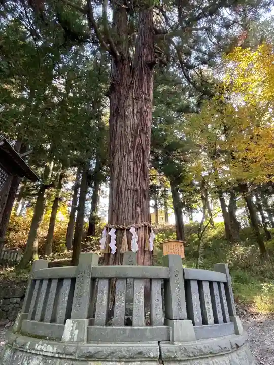 諏訪大社下社春宮(長野県)