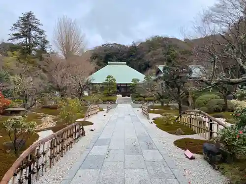 浄妙寺の庭園