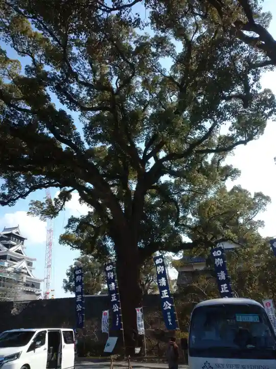 加藤神社の自然