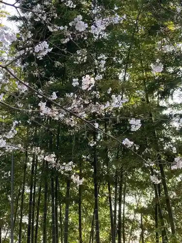 滝前不動尊(千葉県)