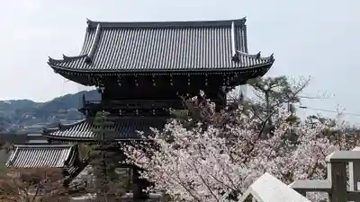 くろ谷 金戒光明寺(京都府)