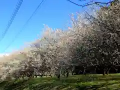 壽命院 永徳寺の自然