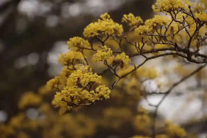 開成山大神宮の庭園