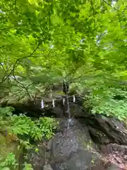 戸隠神社奥社(長野県)