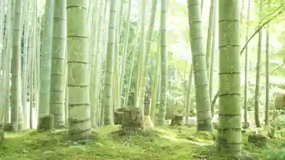 圓光寺(京都府)