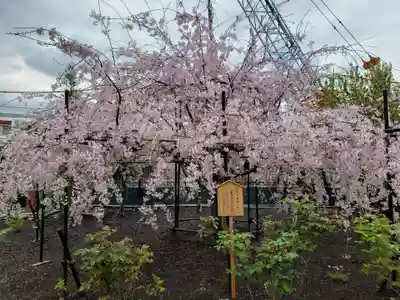 福蔵院(東京都)