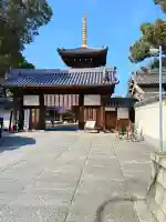 法楽寺の{uncategorized: "未分類", other: "その他", undefined: "問題あり", building: "その他建物", grave: "お墓", sacred_gate: "鳥居", guardian: "狛犬", statue: "像", buddha: "仏像", history: "歴史", nature: "自然", garden: "庭園", animal: "動物", pagoda: "塔", temizu: "手水舎", mountain_gate: "山門・神門", sanctuary: "本殿・本堂", subordinate: "末社・摂社", art: "芸術", scenery: "景色", jizo: "地蔵", ema: "絵馬", goshuin: "御朱印", omikuji: "おみくじ", items: "授与品その他", amulet: "お守り", goshuincho: "御朱印帳", eats: "食事", festival: "お祭り", votive_dance: "神楽", shichigosan: "七五三参", wedding: "結婚式", experience: "体験その他", initially: "初詣", around: "周辺", anti_infection: "感染症対策"}