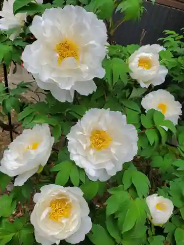 神炊館神社 ⁂奥州須賀川総鎮守⁂の自然