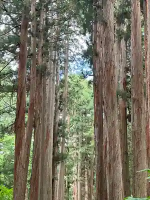 戸隠神社奥社(長野県)