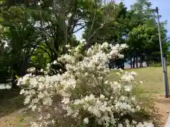 澄丘神社の自然