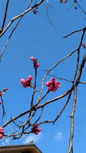 隨心院（随心院）(京都府)