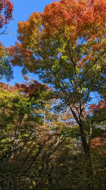 宝筐院(京都府)