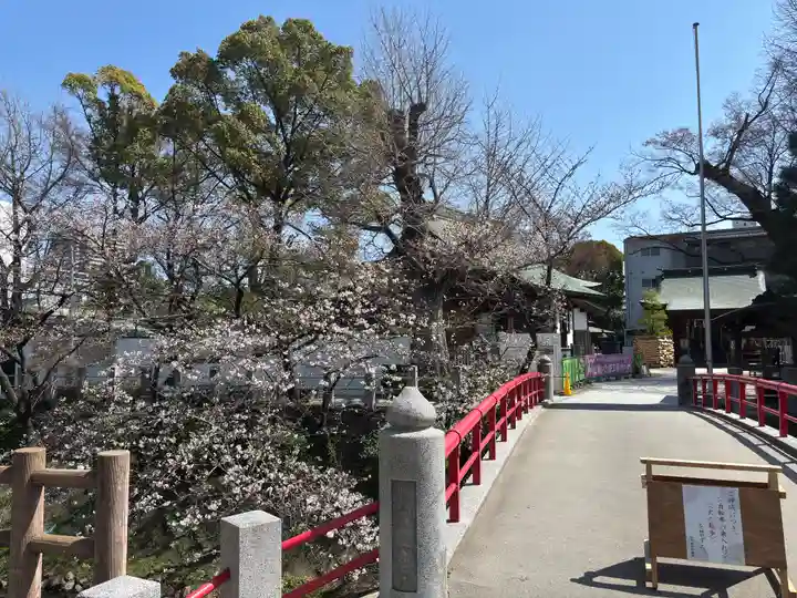 松戸神社(千葉県)