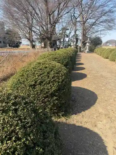 田中神社の{uncategorized: "未分類", other: "その他", undefined: "問題あり", building: "その他建物", grave: "お墓", sacred_gate: "鳥居", guardian: "狛犬", statue: "像", buddha: "仏像", history: "歴史", nature: "自然", garden: "庭園", animal: "動物", pagoda: "塔", temizu: "手水舎", mountain_gate: "山門・神門", sanctuary: "本殿・本堂", subordinate: "末社・摂社", art: "芸術", scenery: "景色", jizo: "地蔵", ema: "絵馬", goshuin: "御朱印", omikuji: "おみくじ", items: "授与品その他", amulet: "お守り", goshuincho: "御朱印帳", eats: "食事", festival: "お祭り", votive_dance: "神楽", shichigosan: "七五三参", wedding: "結婚式", experience: "体験その他", initially: "初詣", around: "周辺", anti_infection: "感染症対策"}